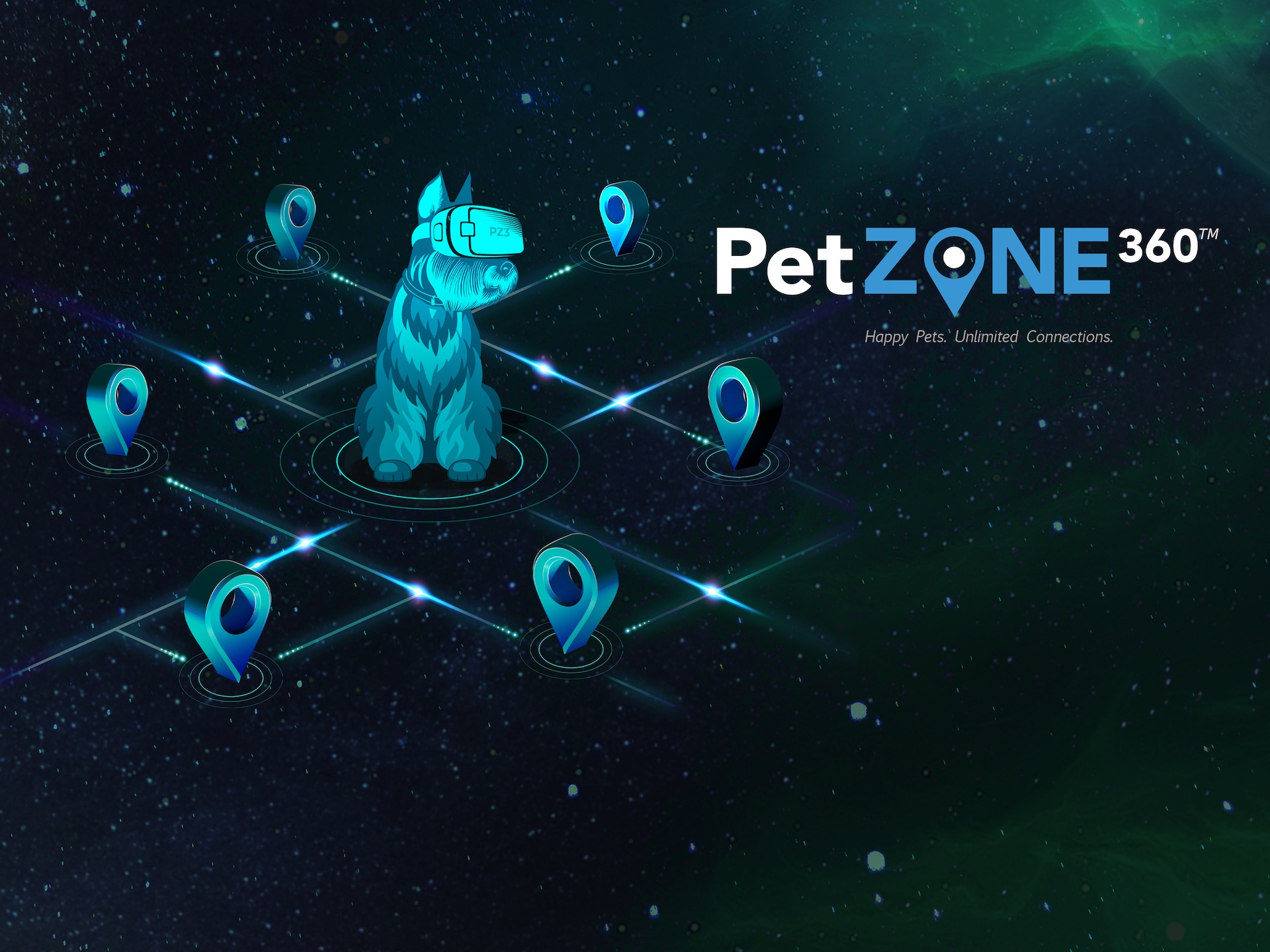 Video Player Background with PetZONE360 Branding